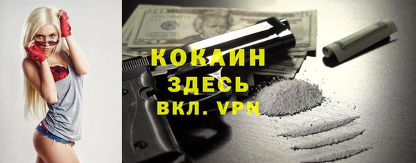 ГАЛЛЮЦИНОГЕННЫЕ ГРИБЫ Вяземский