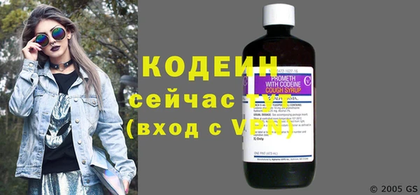 ГАЛЛЮЦИНОГЕННЫЕ ГРИБЫ Вяземский