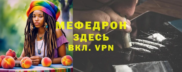 ГАЛЛЮЦИНОГЕННЫЕ ГРИБЫ Вяземский