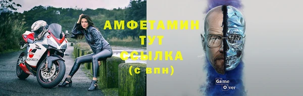 ГАЛЛЮЦИНОГЕННЫЕ ГРИБЫ Вяземский