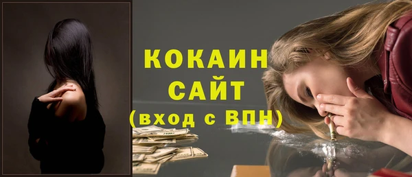 ГАЛЛЮЦИНОГЕННЫЕ ГРИБЫ Вяземский