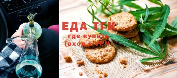 ГАЛЛЮЦИНОГЕННЫЕ ГРИБЫ Вяземский