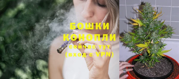 ГАЛЛЮЦИНОГЕННЫЕ ГРИБЫ Вяземский